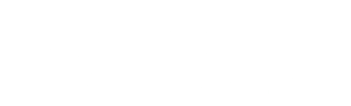 Lionstep company partner