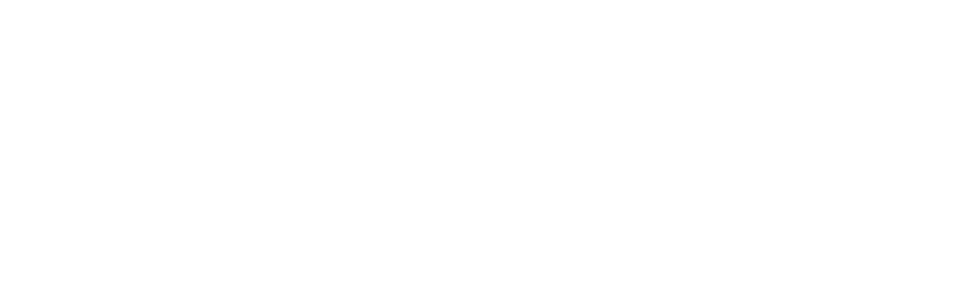 Lionstep company partner